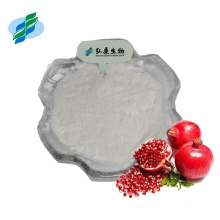 High Quality Pomegranate Peel Extract Ellagic Acid Powder 95% 98% 99% Ellagic Acid Powder